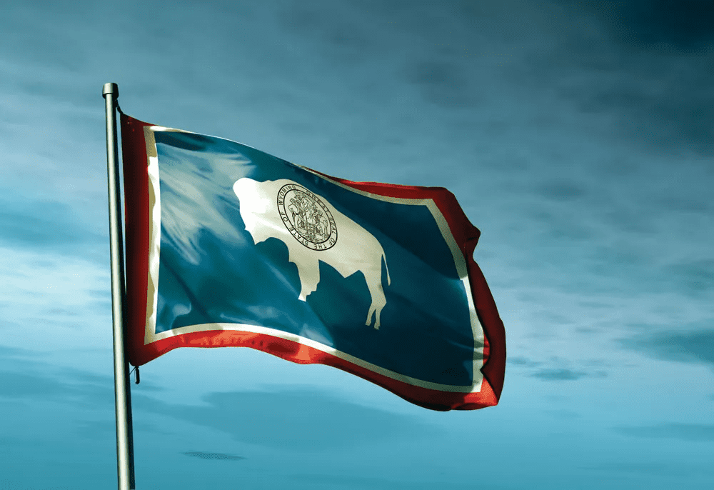 Image of the Wyoming state flag