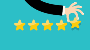 Generating customer reviews