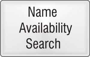 name search for business