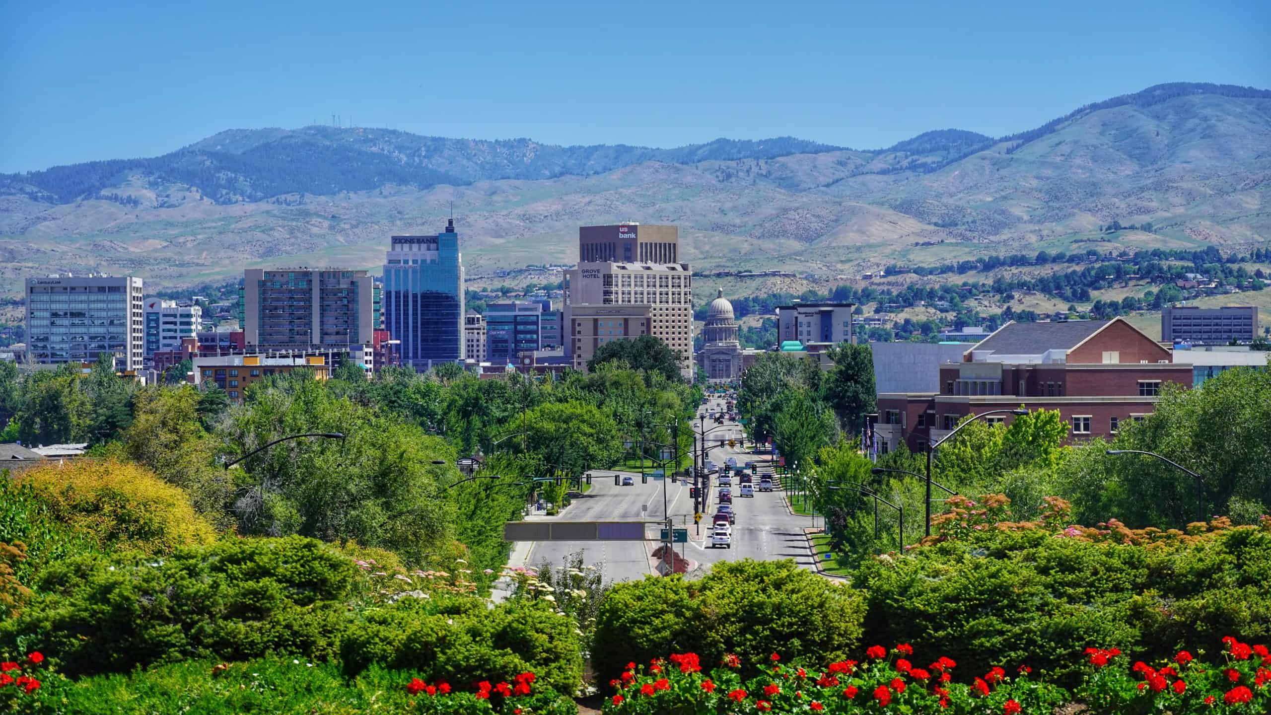 Idaho Business Entity Search