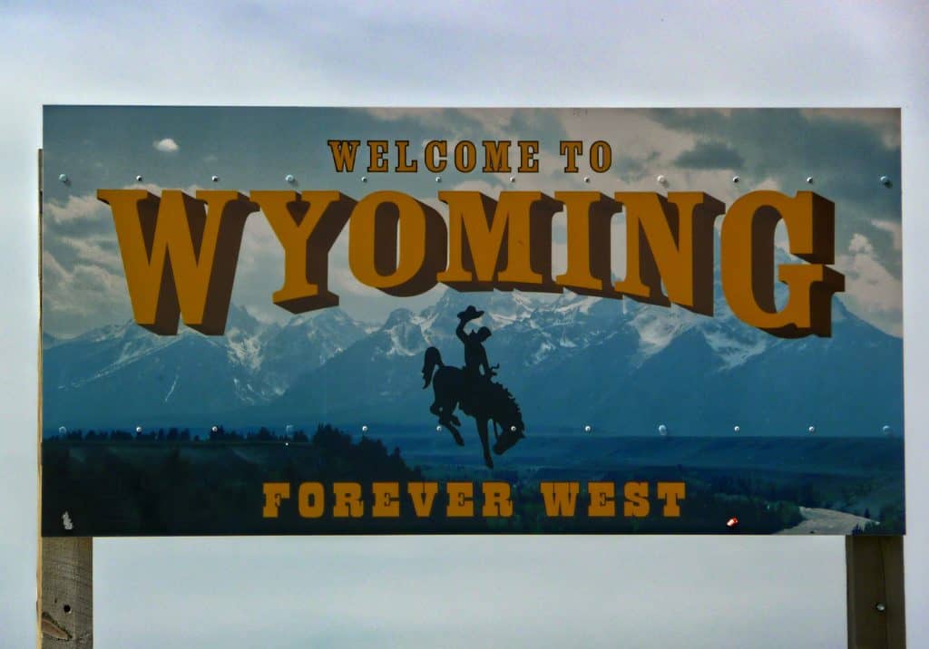 Wyoming Business Entity Search