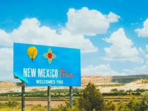 new mexico business entity search