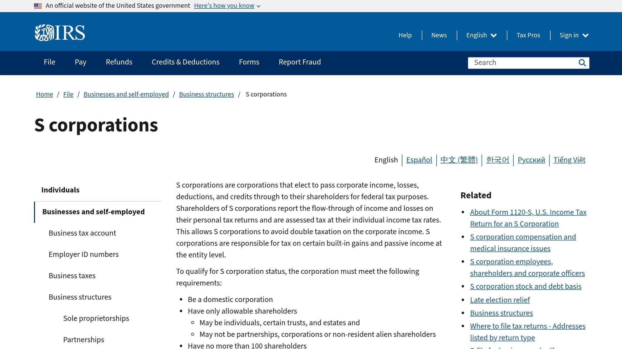 Business owner managing LLC finances, illustrating salary and owner draws for optimal tax and financial planning.