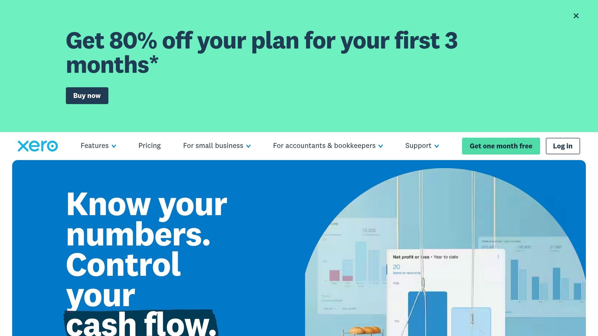 Business Anywhere invoicing software interface showing financial graphs and cash flow control features for small businesses.