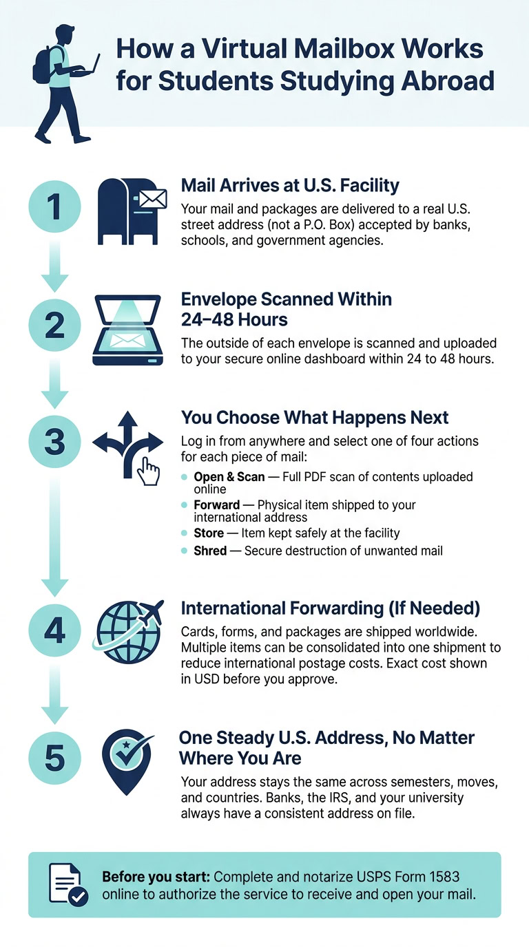 How a Virtual Mailbox Works for Students Studying Abroad