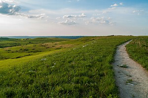 Trail through the Flint Hills tallgrass prairie at Konza Prairie, Kansas