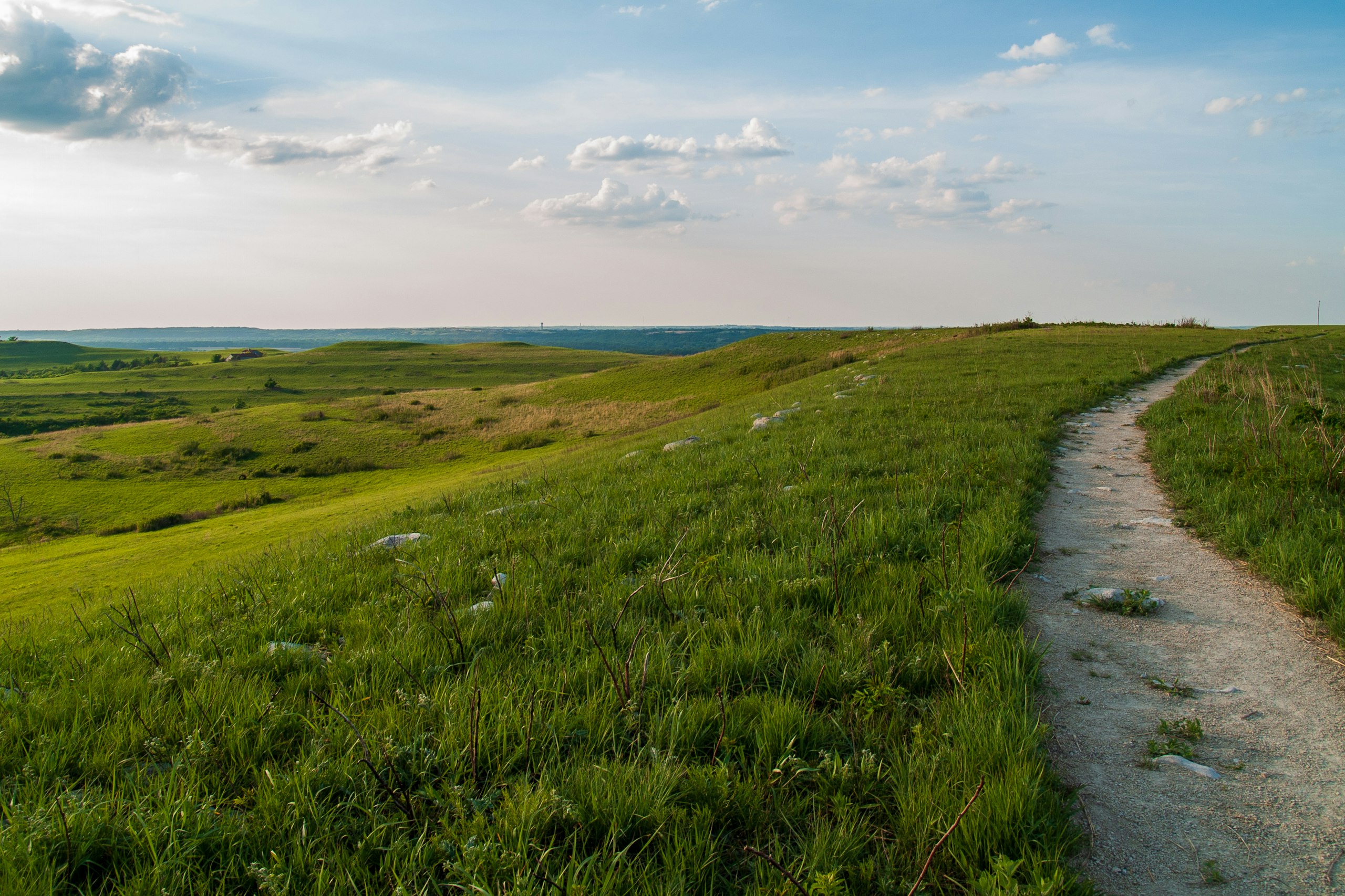 Trail through the Flint Hills tallgrass prairie at Konza Prairie, Kansas