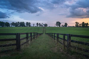 Kentucky horse farm with wooden fences at dusk