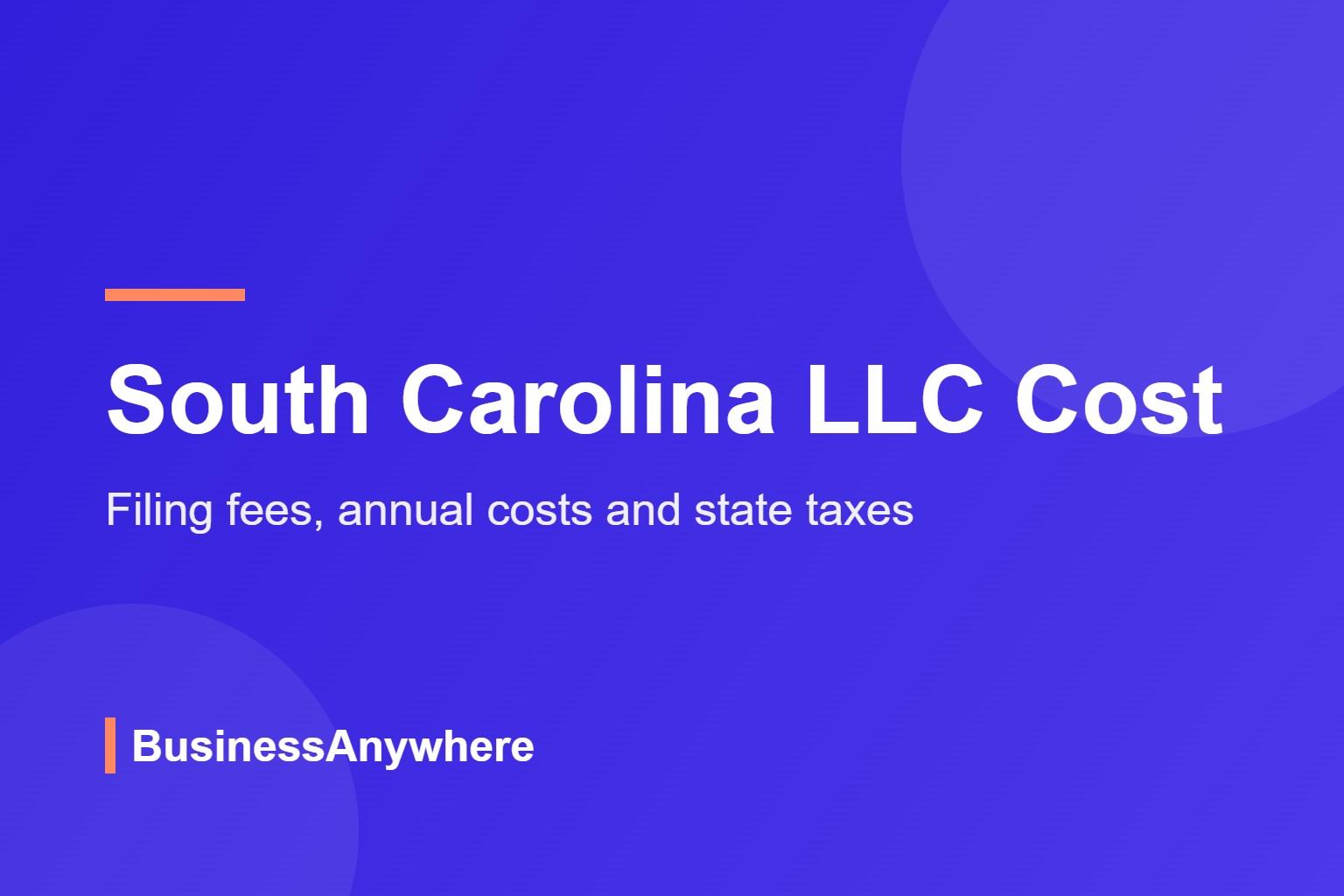 South Carolina LLC cost