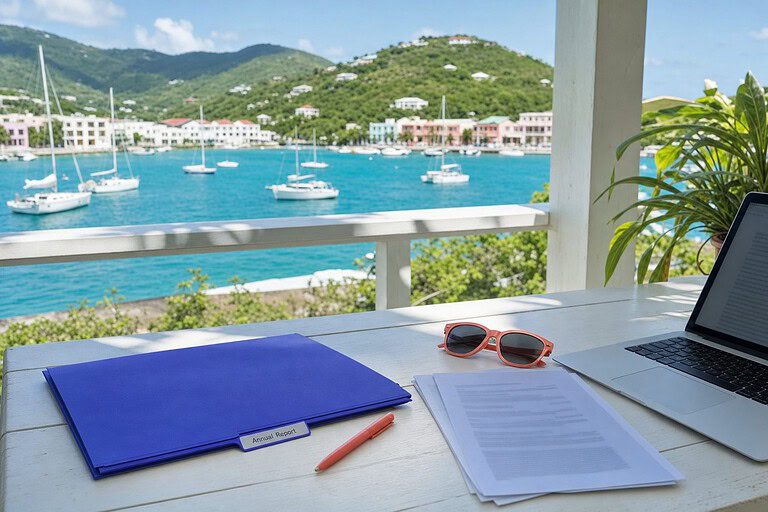 Indigo Annual Report folder on a terrace table overlooking a turquoise harbor with sailboats in the US Virgin Islands